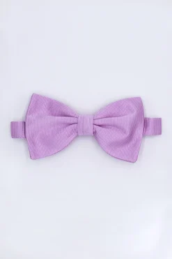 Papillon Elegante in Seta - GLICINE