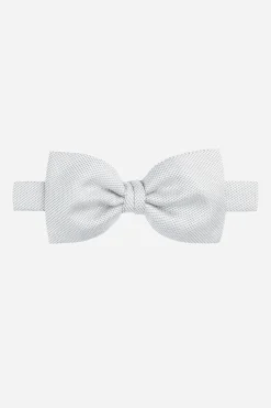 Papillon perla - PERLA