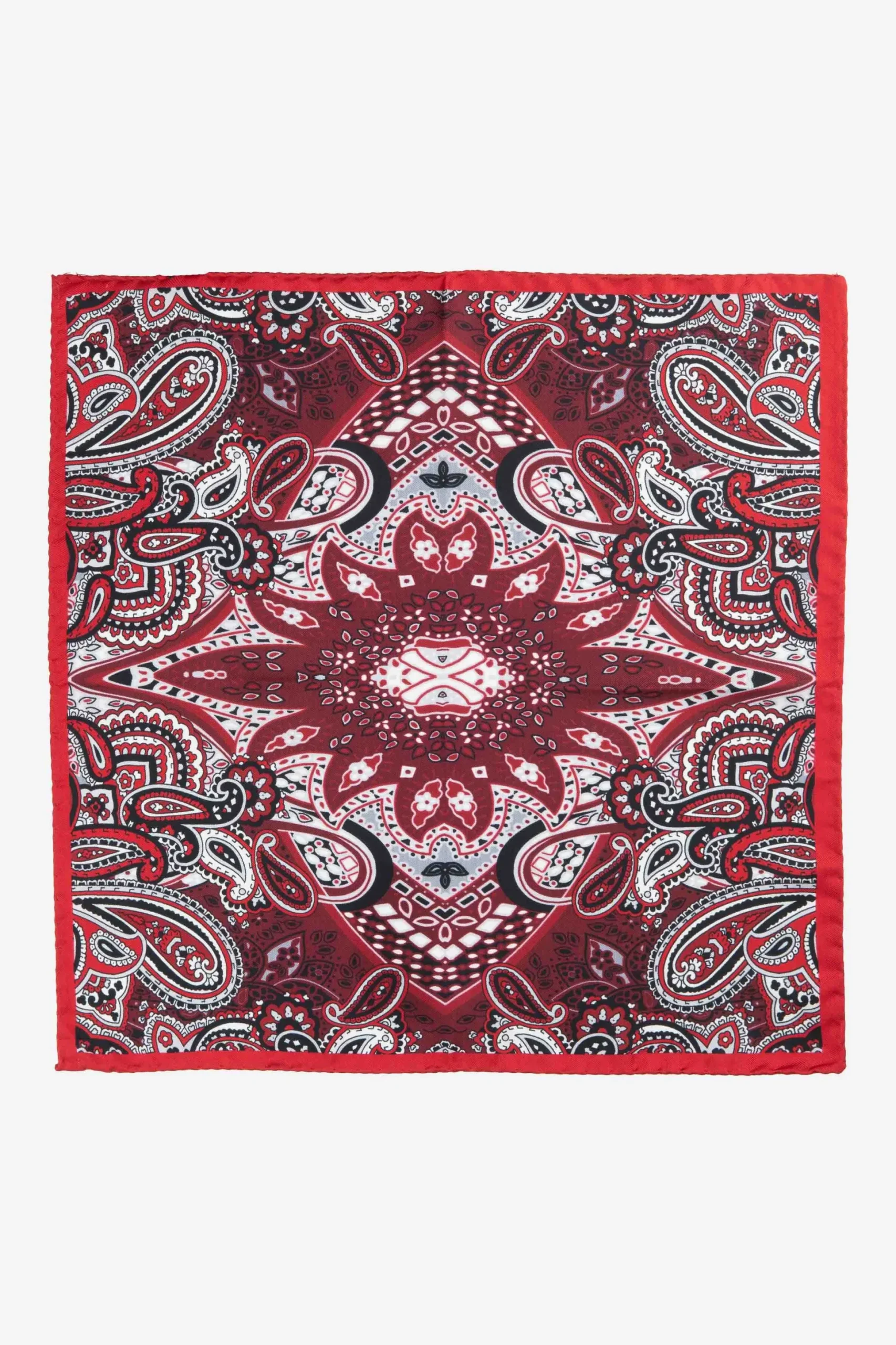 Pochette fantasia paisley - FANT. BORDEAUX
