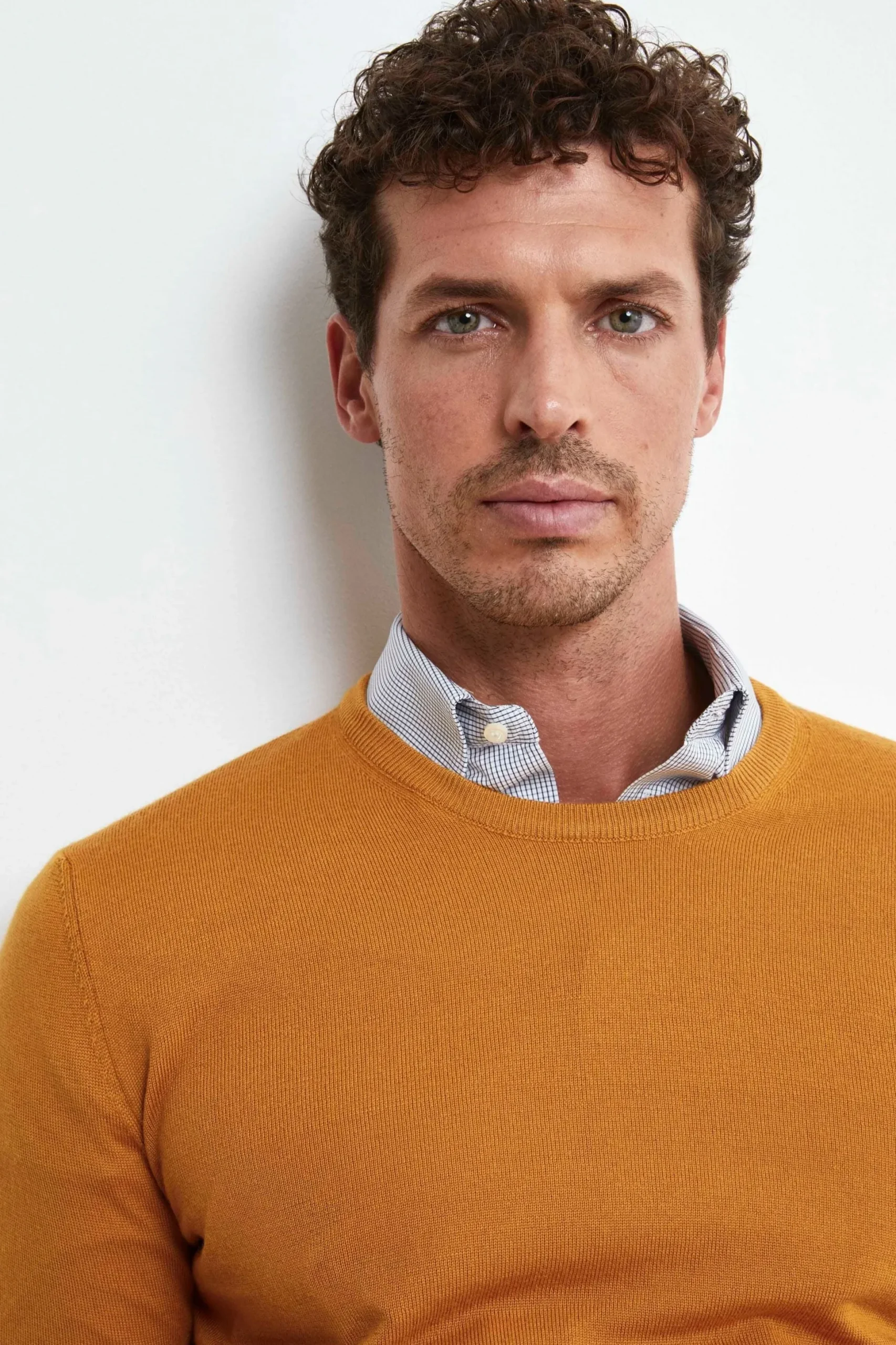 Pullover Girocollo in Lana Merino - SENAPE